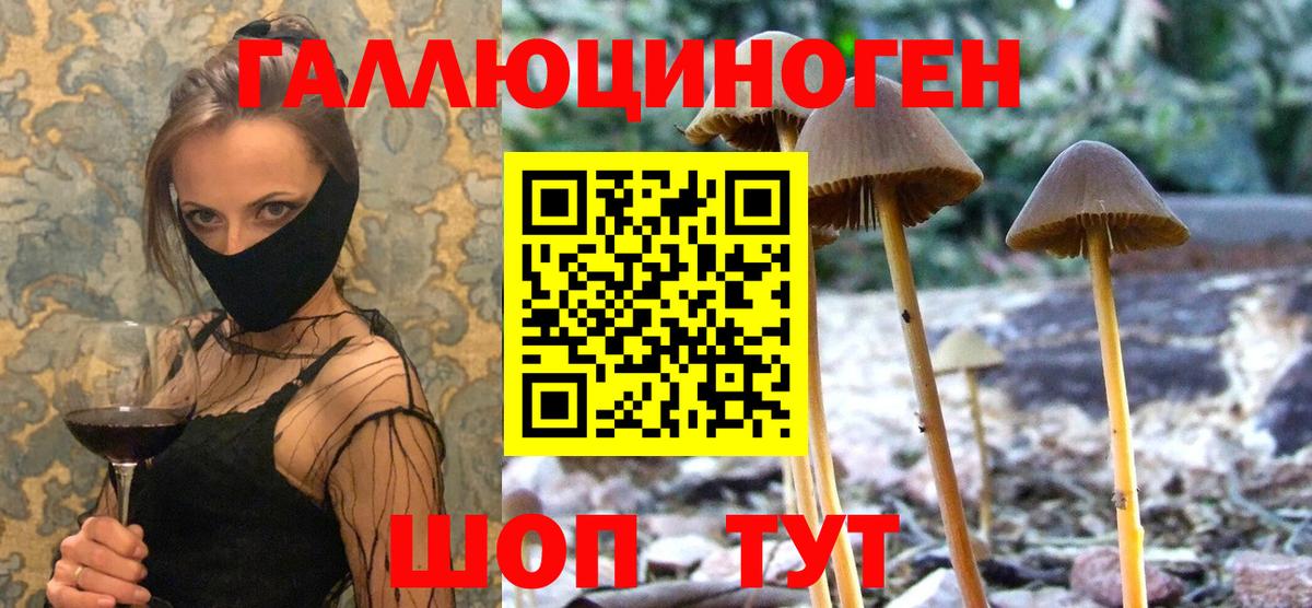 Псилоцибиновые грибы мухоморы Серов