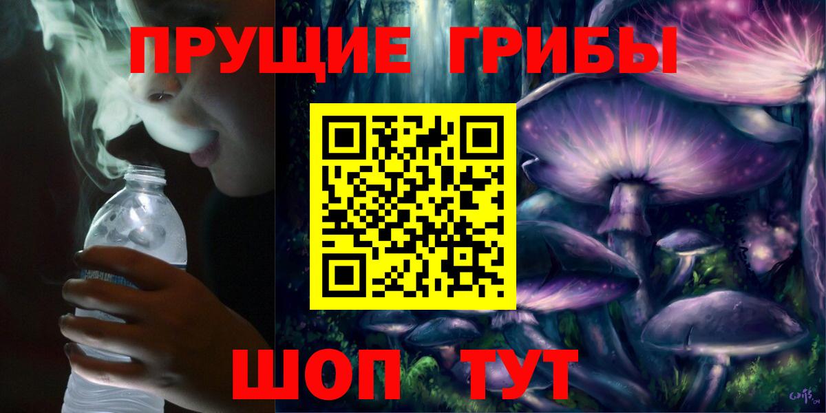 Серов  Галлюциногенные грибы Psilocybe  Вход с VPN 